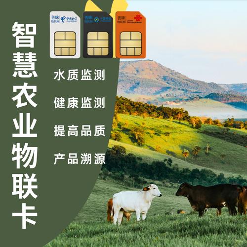 善睐物联 物联卡赋能智慧农业，数字化转型引领生产效益新纪元